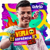 DAVID MIRADA - VERAO SOFRÊNCIA E PAREDÃO